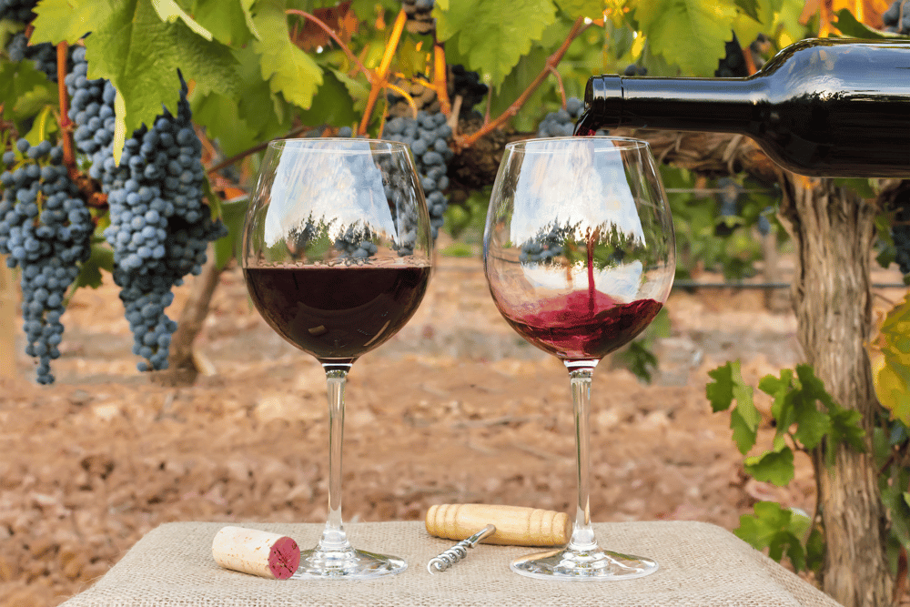 Decoy Cabernet Sauvignon 750ml